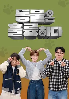 Animals Are Incredible