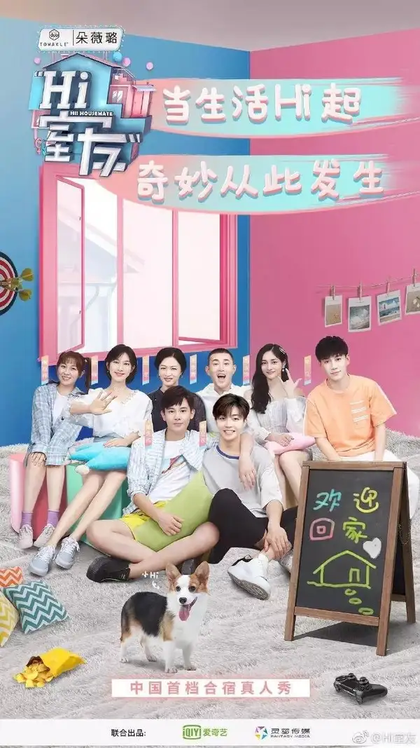 Hi! Housemate: Housemate Diary